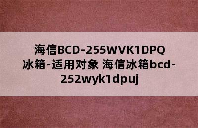 海信BCD-255WVK1DPQ冰箱-适用对象 海信冰箱bcd-252wyk1dpuj